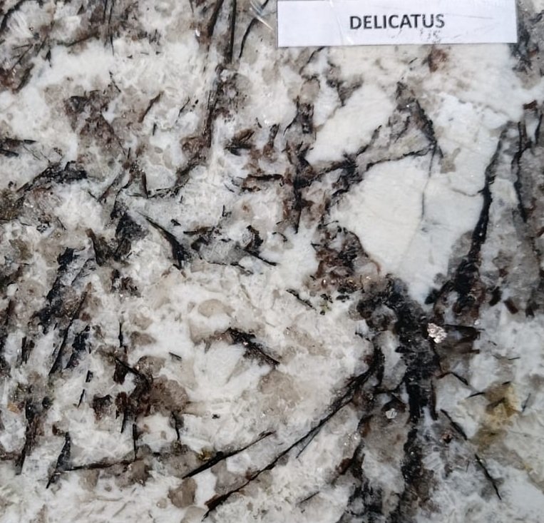 Delicatus